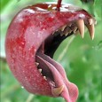 Why Apple’s Subscription Rules Must Change…Again Apple's latest changes regarding subscription services are a bad move for the long term health of the App Store. Read why they must change.