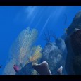 Last year I got the opportunity to meet the team working on an online experience called theBlu. According to Wemo Media, the makers of theBlu, “Inspired by the Oceans, theBlu is a socially-connected, global interactive screensaver. Each time you participate, your interactions and connections impact the flow of life in...
