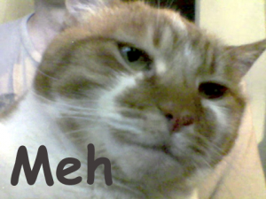 cat-meh