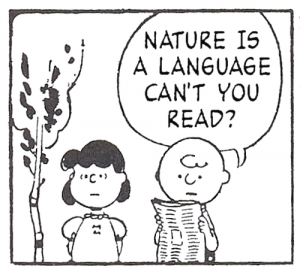 cant you read